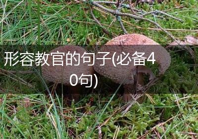 形容教官的句子(必备40句)