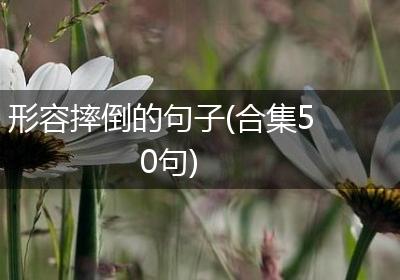形容摔倒的句子(合集50句)