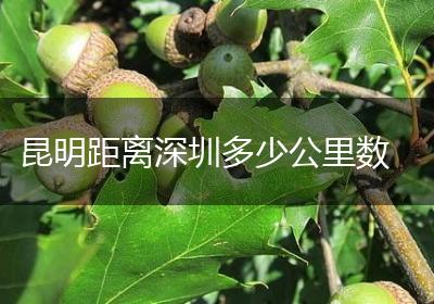 昆明距离深圳多少公里数
