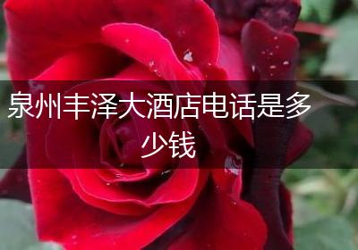 泉州丰泽大酒店电话是多少钱
