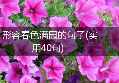 形容春色满园的句子(实用40句)