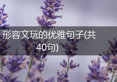 形容文玩的优雅句子(共40句)