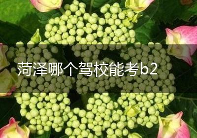 菏泽哪个驾校能考b2