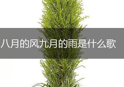 八月的风九月的雨是什么歌