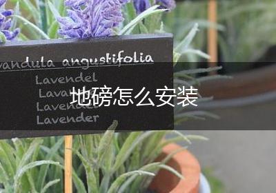 地磅怎么安装