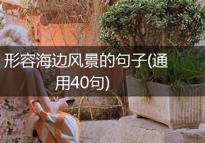 形容海边风景的句子(通用40句)