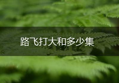 路飞打大和多少集