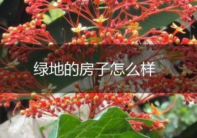 绿地的房子怎么样