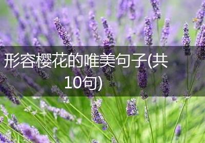 形容樱花的唯美句子(共10句)