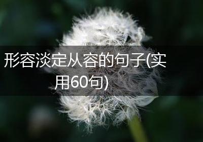形容淡定从容的句子(实用60句)