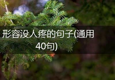 形容没人疼的句子(通用40句)