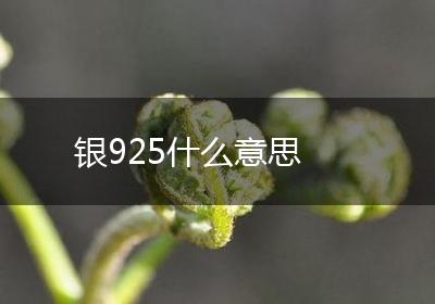 银925什么意思