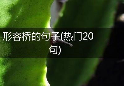 形容桥的句子(热门20句)