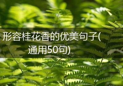 形容桂花香的优美句子(通用50句)