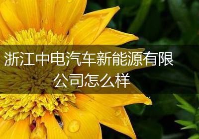 浙江中电汽车新能源有限公司怎么样