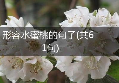 形容水蜜桃的句子(共61句)