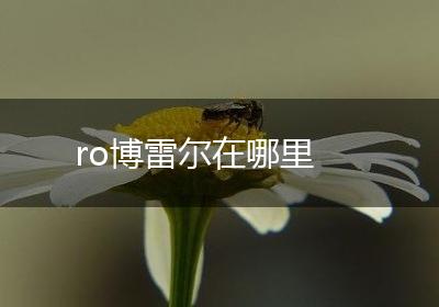 ro博雷尔在哪里
