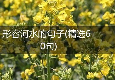 形容河水的句子(精选60句)