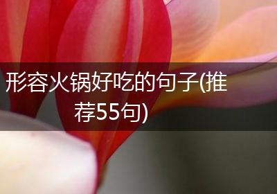 形容火锅好吃的句子(推荐55句)