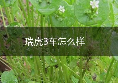 瑞虎3车怎么样