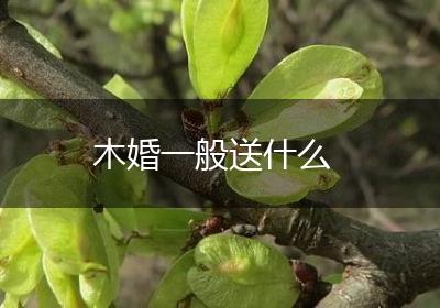 木婚一般送什么