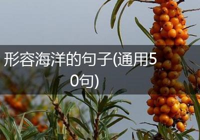 形容海洋的句子(通用50句)
