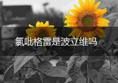 氯吡格雷是波立维吗