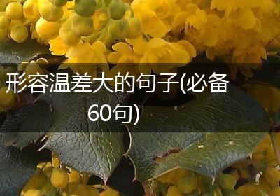 形容温差大的句子(必备60句)
