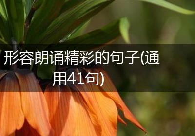 形容朗诵精彩的句子(通用41句)