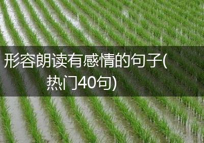 形容朗读有感情的句子(热门40句)