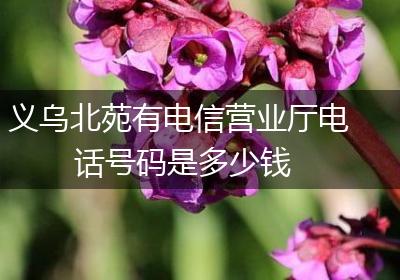 义乌北苑有电信营业厅电话号码是多少钱