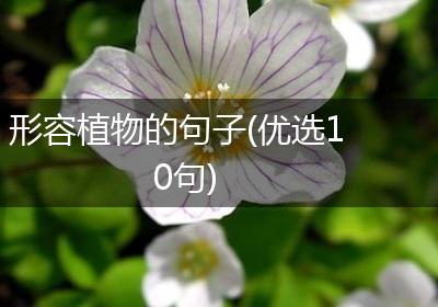 形容植物的句子(优选10句)