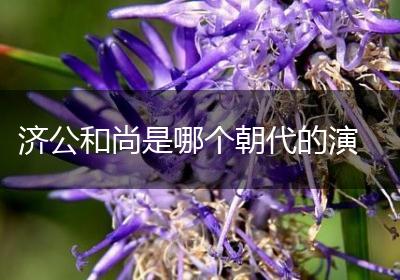 济公和尚是哪个朝代的演