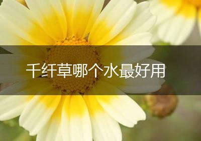 千纤草哪个水最好用