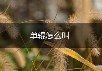 单辊怎么叫