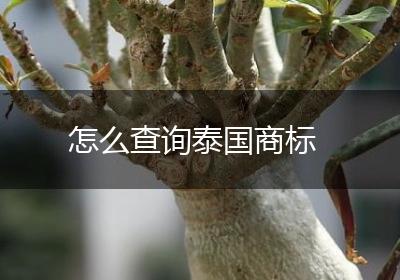 怎么查询泰国商标
