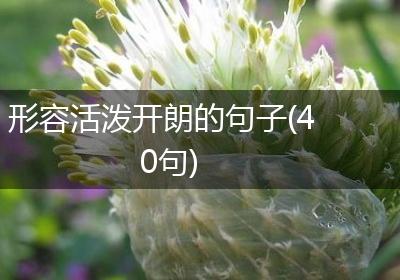 形容活泼开朗的句子(40句)
