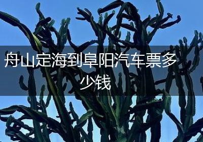 舟山定海到阜阳汽车票多少钱