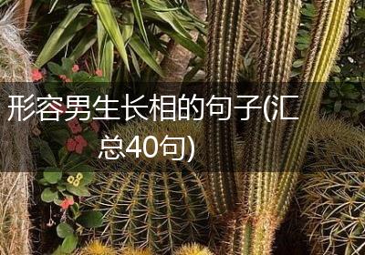 形容男生长相的句子(汇总40句)