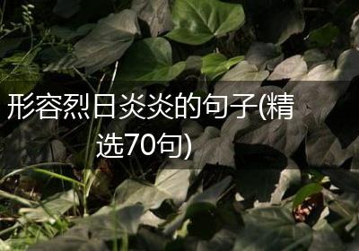 形容烈日炎炎的句子(精选70句)
