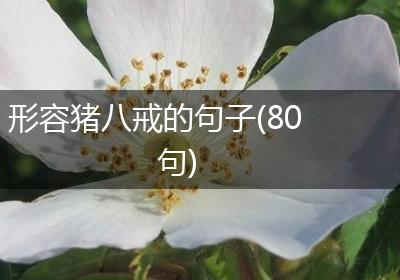 形容猪八戒的句子(80句)