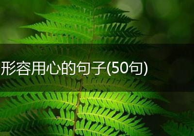 形容用心的句子(50句)