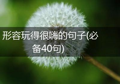 形容玩得很嗨的句子(必备40句)