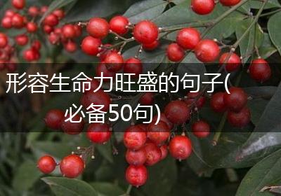 形容生命力旺盛的句子(必备50句)