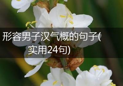 形容男子汉气概的句子(实用24句)