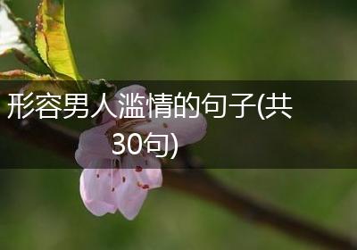 形容男人滥情的句子(共30句)