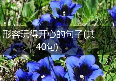 形容玩得开心的句子(共40句)