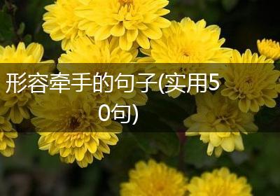 形容牵手的句子(实用50句)