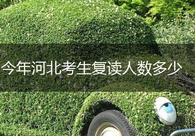 今年河北考生复读人数多少