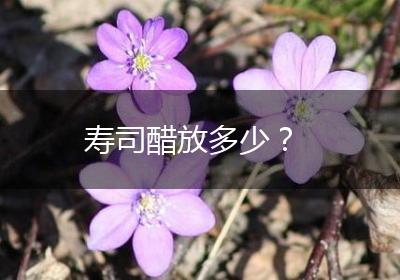 寿司醋放多少？